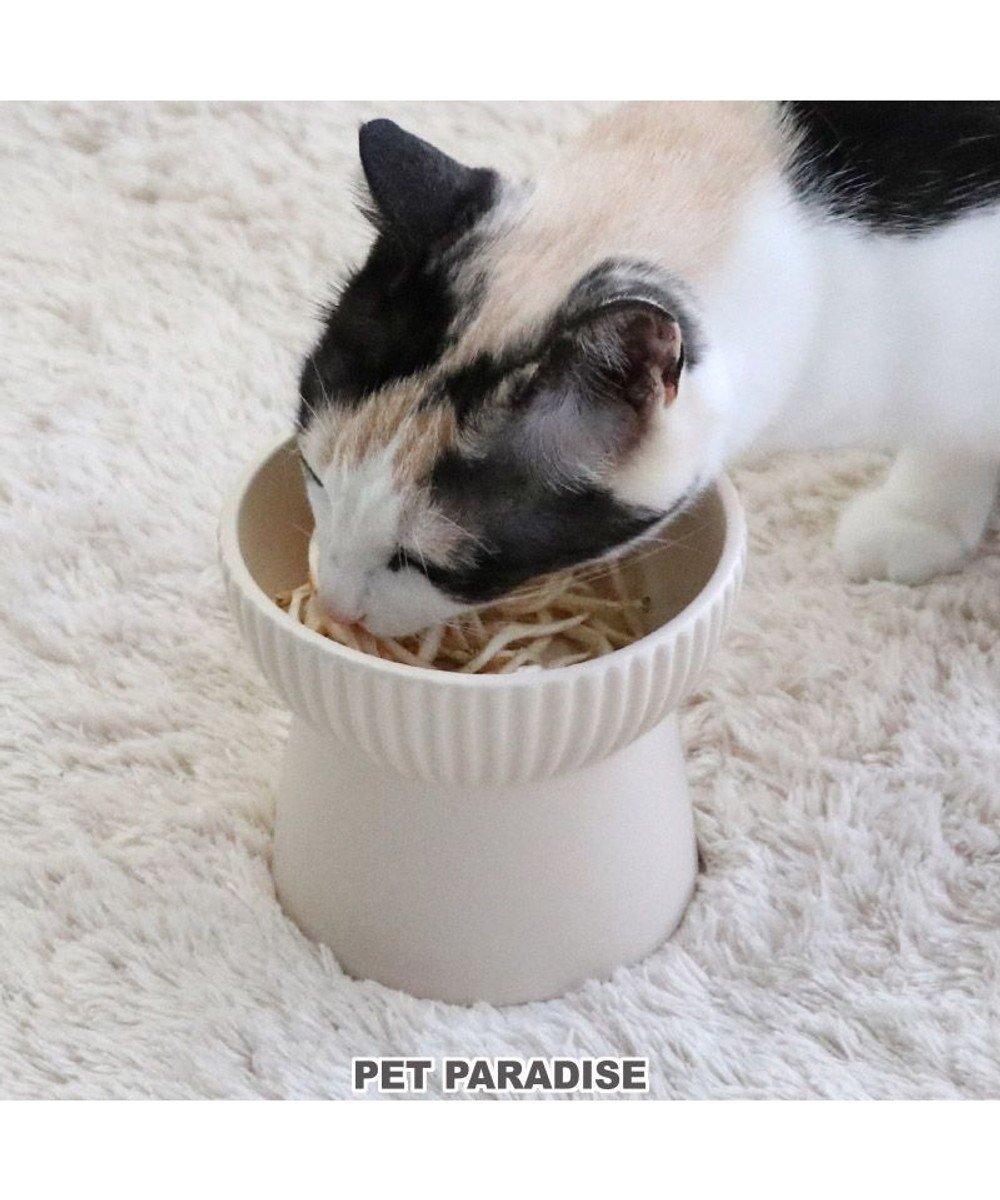 【ペットパラダイス/PET PARADISE / GOODS】の猫 フードボウル 陶器 斜め ホワイト ベージュ インテリア・キッズ・メンズ・レディースファッション・服の通販 founy(ファニー) 　皿　Dish　猫　Cat　ギフト プレゼント　Gift Present　ホーム・キャンプ・アウトドア・お取り寄せ　Home,Garden,Outdoor,Camping Gear　ペットグッズ　Pet Supplies　ベージュ|ID: prp329100002991651 ipo3291000000029391613