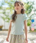 【組曲 / KIDS/KUMIKYOKU】の【110-140cm】メローメロー Tシャツ ミントグリーン系|ID: prp329100003176771 ipo3291000000029949989