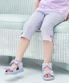【エニファム/any FAM / KIDS】の接触冷感 しろくま パンツ サックスブルー×ギンガム|ID: prp329100003314410 ipo3291000000031961538