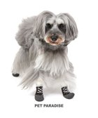 【ペットパラダイス/PET PARADISE / GOODS】の犬 靴 靴下 フィットシューズ 【S】 グリーン ブラウン ブラウン|ID: prp329100003477019 ipo3291000000022992311