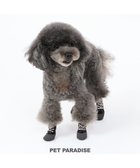【ペットパラダイス/PET PARADISE / GOODS】の犬 靴 靴下 フィットシューズ 【SS】 《グリーン / ブラウン》 ブラウン|ID: prp329100003477021 ipo3291000000022992335