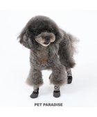 【ペットパラダイス/PET PARADISE / GOODS】のペットパラダイス フィットシューズ 【3S】 グリーン ブラウン ブラウン|ID: prp329100003477028 ipo3291000000027092868