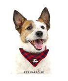 【ペットパラダイス/PET PARADISE / GOODS】のディズニー ミッキーマウス プルート 散歩柄首輪【SS】 小型犬 赤|ID: prp329100003485716 ipo3291000000028142975