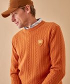 【23区 ゴルフ/23区GOLF / MEN】の【MEN】【ウォッシャブル】ストレッチ カラーニット キャメル系|ID: prp329100003638018 ipo3291000000027421377