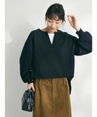 【クラフトスタンダードブティック/CRAFT STANDARD BOUTIQUE】の裏毛レイヤード風プルオーバー 人気、トレンドファッション・服の通販 founy(ファニー) ファッション Fashion レディースファッション WOMEN トップス・カットソー Tops/Tshirt シャツ/ブラウス Shirts/Blouses ロング / Tシャツ T-Shirts プルオーバー Pullover カットソー Cut and Sewn A/W・秋冬 Aw・Autumn/Winter・Fw・Fall-Winter カットソー Cut And Sew ポケット Pocket thumbnail Black|ID: prp329100003767701 ipo3291000000028330989