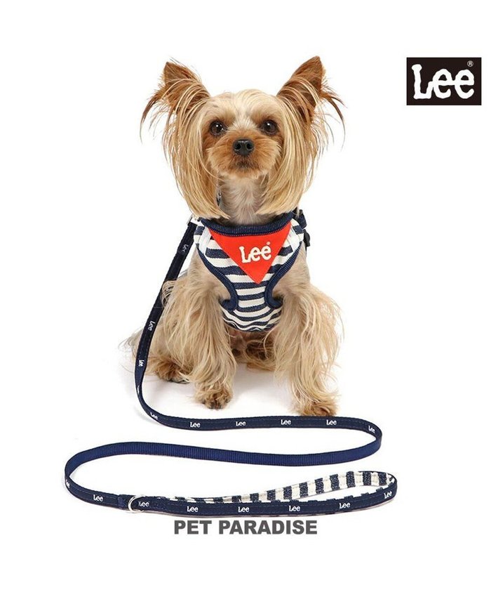 【ペットパラダイス/PET PARADISE / GOODS】のLee ハーネス&リード 《ボーダー》 SS 小型犬 インテリア・キッズ・メンズ・レディースファッション・服の通販 founy(ファニー) https://founy.com/ ボーダー Border 犬 Dog ホーム・キャンプ・アウトドア・お取り寄せ Home,Garden,Outdoor,Camping Gear ペットグッズ Pet Supplies |ID: prp329100003813131 ipo3291000000029424616