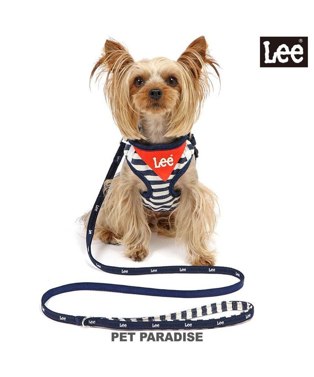 【ペットパラダイス/PET PARADISE / GOODS】のLee ハーネス&リード 《ボーダー》 SS 小型犬 人気、トレンドファッション・服の通販 founy(ファニー) 　ボーダー　Border　犬　Dog　ホーム・キャンプ・アウトドア・お取り寄せ　Home,Garden,Outdoor,Camping Gear　ペットグッズ　Pet Supplies　 other-1|ID: prp329100003813131 ipo3291000000029424616