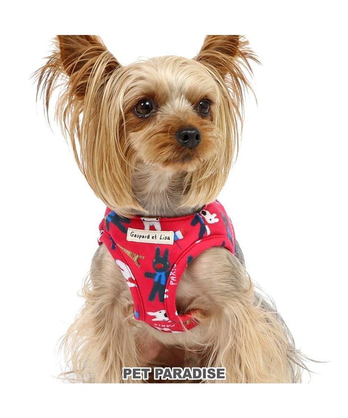【ペットパラダイス/PET PARADISE / GOODS】のリサとガスパール ベストハーネス 《パリ柄》 S 小型犬 インテリア・キッズ・メンズ・レディースファッション・服の通販 founy(ファニー) https://founy.com/ パール Pearl ベスト Vest メッシュ Mesh 犬 Dog ホーム・キャンプ・アウトドア・お取り寄せ Home,Garden,Outdoor,Camping Gear ペットグッズ Pet Supplies |ID: prp329100003830200 ipo3291000000025167609