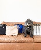 【ルートート/ROOTOTE】の1129【BUDDY 撥水加工】SN.スクエア.ドッグ.バディ-B 人気、トレンドファッション・服の通販 founy(ファニー) ファッション Fashion レディースファッション WOMEN アウトドア Outdoor ショルダー Shoulder スクエア Square ストライプ Stripe スマホ Smartphone 皿 Dish タオル Towel ベーシック Basic ポケット Pocket ランダム Random 犬 Dog thumbnail 02:ベージュ|ID: prp329100003904970 ipo3291000000031778725