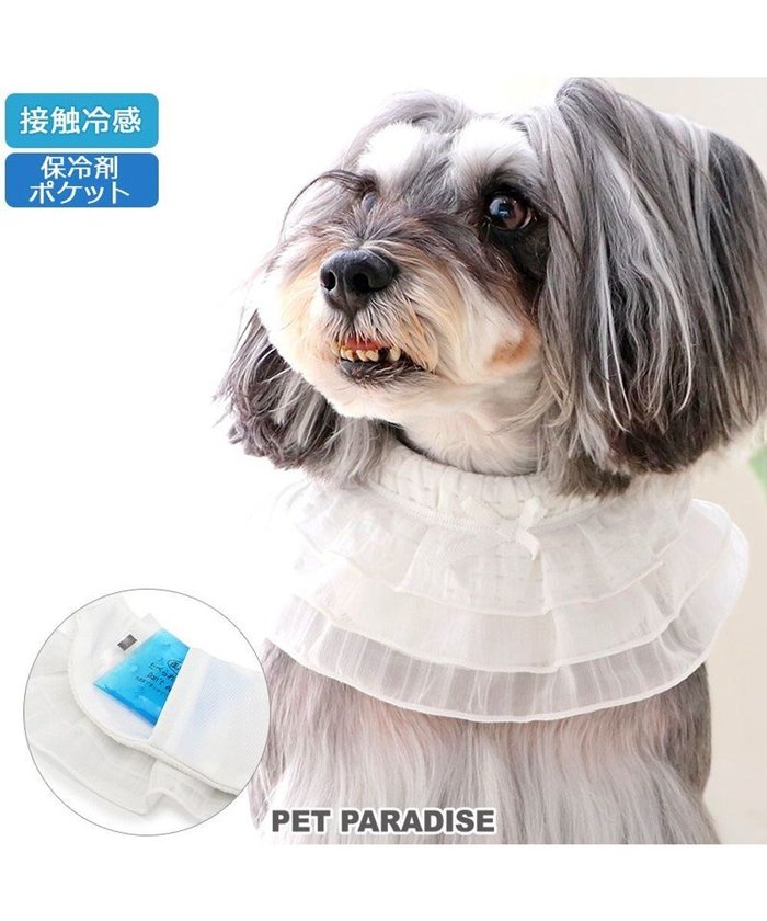 【ペットパラダイス/PET PARADISE / GOODS】のペットパラダイス クールバンダナ 《フリル》 小型犬 インテリア・キッズ・メンズ・レディースファッション・服の通販 founy(ファニー) https://founy.com/ S/S・春夏 Ss・Spring/Summer バンダナ Bandana フリル Frills ポケット Pocket リボン Ribbon 吸水 Water Absorption 夏 Summer 春 Spring 犬 Dog ホーム・キャンプ・アウトドア・お取り寄せ Home,Garden,Outdoor,Camping Gear ペットグッズ Pet Supplies |ID: prp329100003973941 ipo3291000000026851851