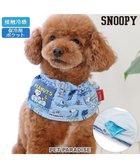 【ペットパラダイス/PET PARADISE / GOODS】のスヌーピー クール スヌード 《バケーション柄》 小型犬 バケーション柄|ID: prp329100003992982 ipo3291000000028162395