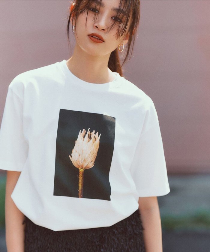 【自由区/JIYU-KU】の【カタログ掲載・洗える】PHOTO Tシャツ インテリア・キッズ・メンズ・レディースファッション・服の通販 founy(ファニー) https://founy.com/ ファッション Fashion レディースファッション WOMEN トップス・カットソー Tops/Tshirt シャツ/ブラウス Shirts/Blouses ロング / Tシャツ T-Shirts カットソー Cut and Sewn S/S・春夏 Ss・Spring/Summer カットソー Cut And Sew シンプル Simple バランス Balance ベーシック Basic ボトム Bottom 夏 Summer 春 Spring 洗える Washable |ID: prp329100004006952 ipo3291000000028463704