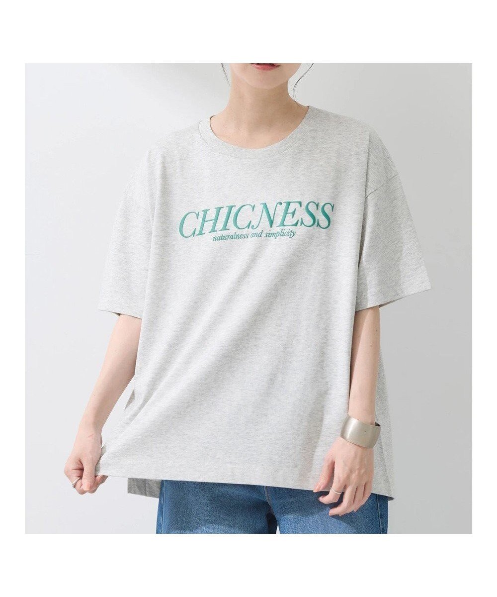 【アースミュージックアンドエコロジー/earth music&ecology】のCHICNESS スリットT インテリア・キッズ・メンズ・レディースファッション・服の通販 founy(ファニー) 　ファッション　Fashion　レディースファッション　WOMEN　トップス・カットソー　Tops/Tshirt　シャツ/ブラウス　Shirts/Blouses　ロング / Tシャツ　T-Shirts　カットソー　Cut and Sewn　S/S・春夏　Ss・Spring/Summer　おすすめ　Recommend　カットソー　Cut And Sew　スリット　Slit　ビッグ　Big　フロント　Front　プリント　Print　ポケット　Pocket　再入荷　Restock/Back In Stock/Re Arrival　夏　Summer　春　Spring　Gray|ID: prp329100004020459 ipo3291000000028614171