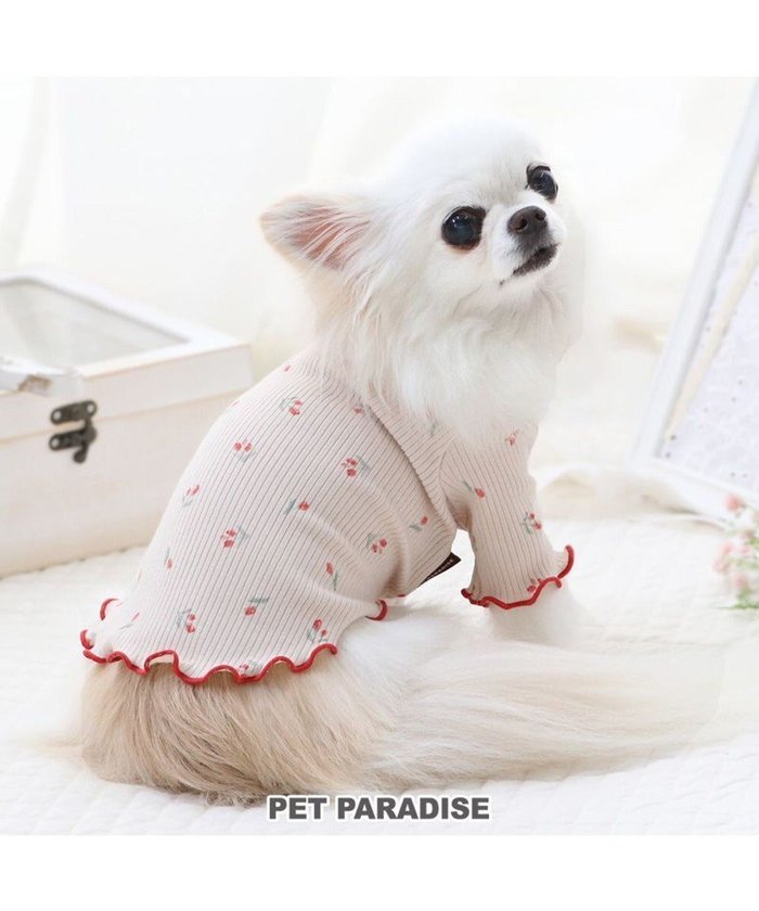 【ペットパラダイス/PET PARADISE / GOODS】のペットパラダイス お花のびのび リブ Tシャツ 小型犬 インテリア・キッズ・メンズ・レディースファッション・服の通販 founy(ファニー) https://founy.com/ A/W・秋冬 Aw・Autumn/Winter・Fw・Fall-Winter チューリップ Tulip 犬 Dog ホーム・キャンプ・アウトドア・お取り寄せ Home,Garden,Outdoor,Camping Gear ペットグッズ Pet Supplies |ID: prp329100004050750 ipo3291000000027192430