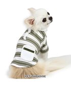 【ペットパラダイス/PET PARADISE / GOODS】のペットパラダイス 縞のびのびリブTシャツ 小型犬 人気、トレンドファッション・服の通販 founy(ファニー) A/W・秋冬 Aw・Autumn/Winter・Fw・Fall-Winter 犬 Dog ホーム・キャンプ・アウトドア・お取り寄せ Home,Garden,Outdoor,Camping Gear ペットグッズ Pet Supplies thumbnail グリーン|ID: prp329100004050752 ipo3291000000027192435