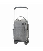 【エースバッグズアンドラゲッジ/ACE BAGS & LUGGAGE】のsoelte マルメ お買い物キャリー 27L 35983 ソエルテ ブラック|ID: prp329100004052824 ipo3291000000027248680