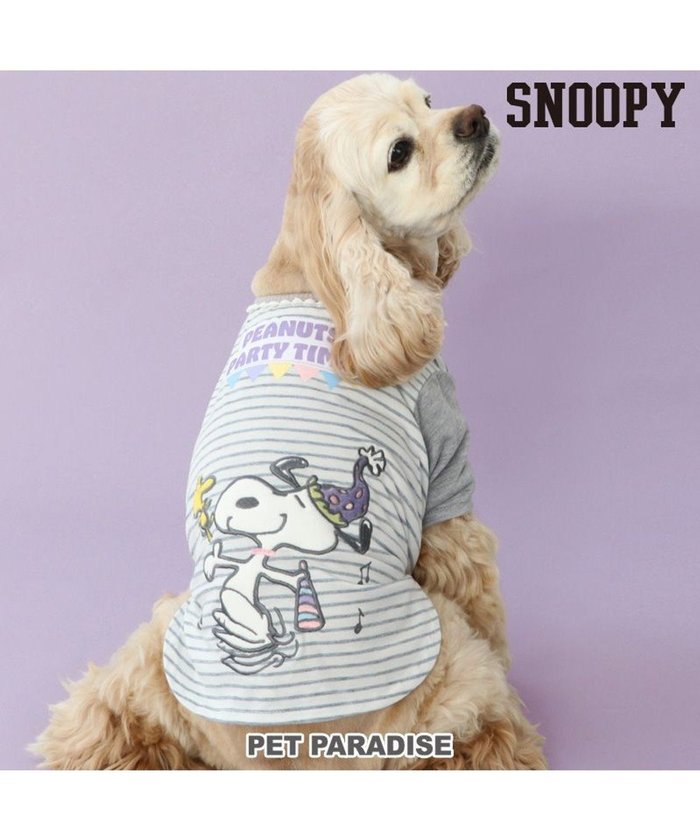 【ペットパラダイス/PET PARADISE / GOODS】の≪スヌーピーお誕生日≫ スヌーピー Tシャツ 《パーティー柄》 中型犬 インテリア・キッズ・メンズ・レディースファッション・服の通販 founy(ファニー) https://founy.com/ A/W・秋冬 Aw・Autumn/Winter・Fw・Fall-Winter ボーダー Border 犬 Dog ホーム・キャンプ・アウトドア・お取り寄せ Home,Garden,Outdoor,Camping Gear ペットグッズ Pet Supplies |ID: prp329100004065939 ipo3291000000027405256