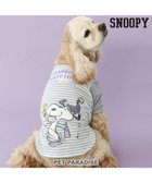 【ペットパラダイス/PET PARADISE / GOODS】の≪スヌーピーお誕生日≫ スヌーピー Tシャツ 《パーティー柄》 中型犬 人気、トレンドファッション・服の通販 founy(ファニー) A/W・秋冬 Aw・Autumn/Winter・Fw・Fall-Winter ボーダー Border 犬 Dog ホーム・キャンプ・アウトドア・お取り寄せ Home,Garden,Outdoor,Camping Gear ペットグッズ Pet Supplies thumbnail パーティー柄|ID: prp329100004065939 ipo3291000000027405257