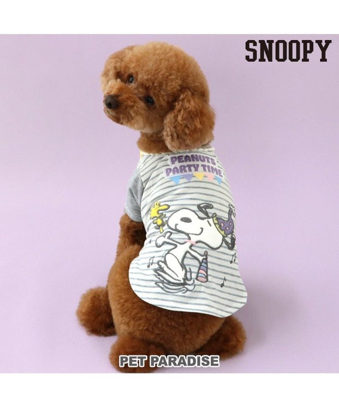 【ペットパラダイス/PET PARADISE / GOODS】の≪スヌーピーお誕生日≫ スヌーピー Tシャツ 《パーティー柄》 小型犬 インテリア・キッズ・メンズ・レディースファッション・服の通販 founy(ファニー) https://founy.com/ A/W・秋冬 Aw・Autumn/Winter・Fw・Fall-Winter ボーダー Border 犬 Dog ホーム・キャンプ・アウトドア・お取り寄せ Home,Garden,Outdoor,Camping Gear ペットグッズ Pet Supplies |ID: prp329100004065942 ipo3291000000027405263