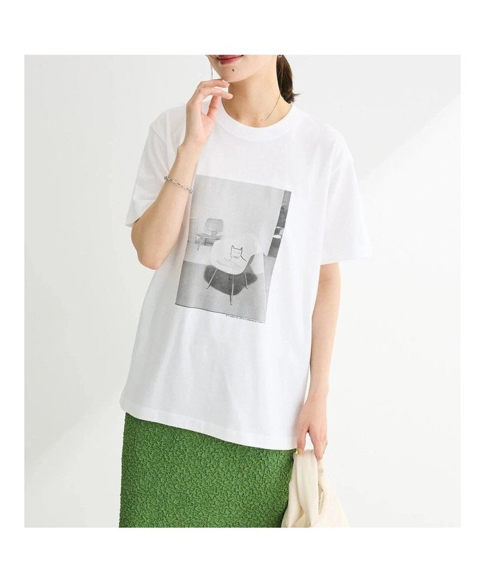 【グリーンパークス/Green Parks】のLIFE 猫フォトTシャツ インテリア・キッズ・メンズ・レディースファッション・服の通販 founy(ファニー) https://founy.com/ ファッション Fashion レディースファッション WOMEN トップス・カットソー Tops/Tshirt シャツ/ブラウス Shirts/Blouses ロング / Tシャツ T-Shirts カットソー Cut and Sewn A/W・秋冬 Aw・Autumn/Winter・Fw・Fall-Winter カットソー Cut And Sew プリント Print ポケット Pocket 定番 Standard 猫 Cat |ID: prp329100004066200 ipo3291000000027406798