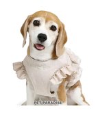 【ペットパラダイス/PET PARADISE / GOODS】のペットパラダイス ベストハーネス 《フリル》 SM 中型犬 人気、トレンドファッション・服の通販 founy(ファニー) フリル Frills ベスト Vest メッシュ Mesh レース Race 犬 Dog ホーム・キャンプ・アウトドア・お取り寄せ Home,Garden,Outdoor,Camping Gear ペットグッズ Pet Supplies thumbnail フリル|ID: prp329100004093812 ipo3291000000028162469