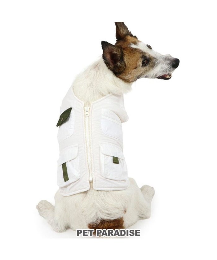 【ペットパラダイス/PET PARADISE / GOODS】のペットパラダイス フィッシング ベスト 小型犬 インテリア・キッズ・メンズ・レディースファッション・服の通販 founy(ファニー) https://founy.com/ A/W・秋冬 Aw・Autumn/Winter・Fw・Fall-Winter アウトドア Outdoor イレギュラー Irregular ベスト Vest 犬 Dog ホーム・キャンプ・アウトドア・お取り寄せ Home,Garden,Outdoor,Camping Gear ペットグッズ Pet Supplies |ID: prp329100004093835 ipo3291000000027746910