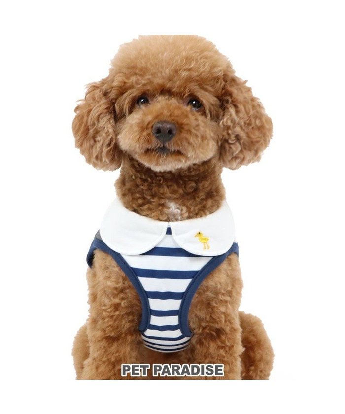 【ペットパラダイス/PET PARADISE / GOODS】のリサとガスパール 切替ベストハーネス S 小型犬 インテリア・キッズ・メンズ・レディースファッション・服の通販 founy(ファニー) https://founy.com/ パール Pearl ベスト Vest ボーダー Border メッシュ Mesh 切替 Switching 犬 Dog ホーム・キャンプ・アウトドア・お取り寄せ Home,Garden,Outdoor,Camping Gear ペットグッズ Pet Supplies |ID: prp329100004096735 ipo3291000000027782006