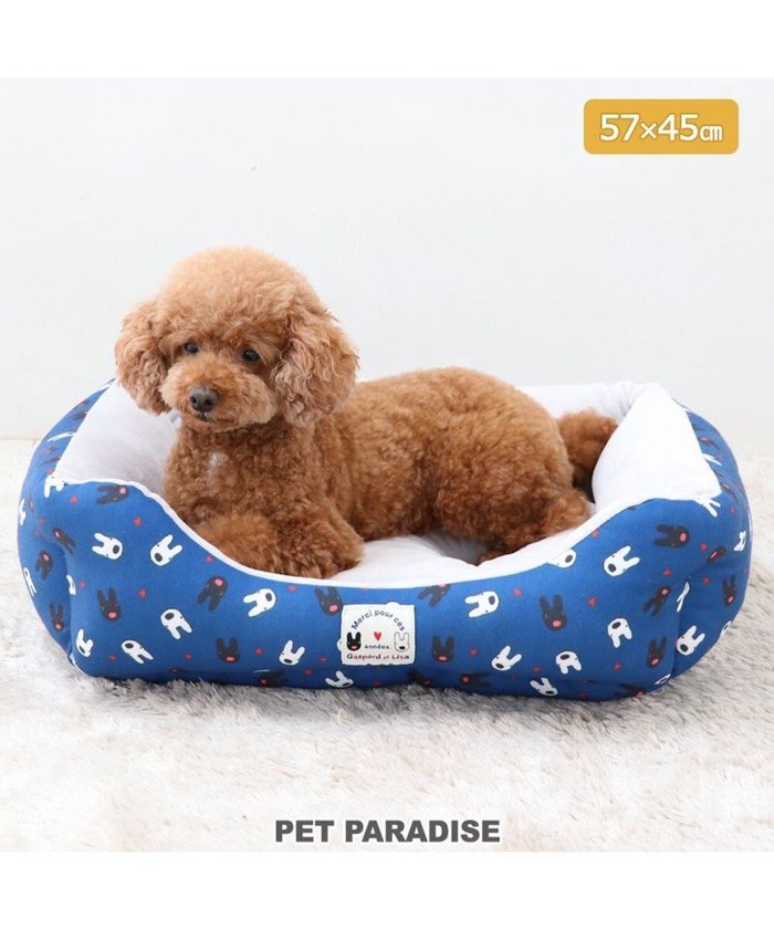 【ペットパラダイス/PET PARADISE / GOODS】のリサとガスパール カドラー 《ハート柄》 57×45cm 小型犬 インテリア・キッズ・メンズ・レディースファッション・服の通販 founy(ファニー) https://founy.com/ クッション Cushion スクエア Square パール Pearl 洗える Washable 犬 Dog ホーム・キャンプ・アウトドア・お取り寄せ Home,Garden,Outdoor,Camping Gear ペットグッズ Pet Supplies |ID: prp329100004096777 ipo3291000000027782112