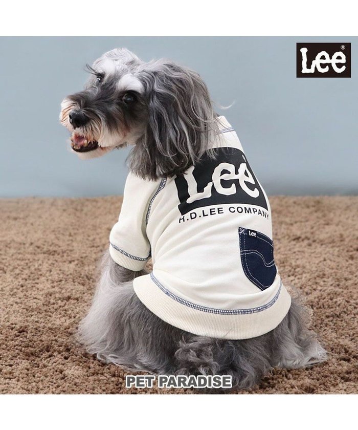 【ペットパラダイス/PET PARADISE / GOODS】のLee ステッチ トレーナー 《ホワイト》 小型犬 インテリア・キッズ・メンズ・レディースファッション・服の通販 founy(ファニー) https://founy.com/ A/W・秋冬 Aw・Autumn/Winter・Fw・Fall-Winter ストレッチ Stretch トレーナー Trainer ポケット Pocket 犬 Dog ホーム・キャンプ・アウトドア・お取り寄せ Home,Garden,Outdoor,Camping Gear ペットグッズ Pet Supplies |ID: prp329100004099806 ipo3291000000027818857