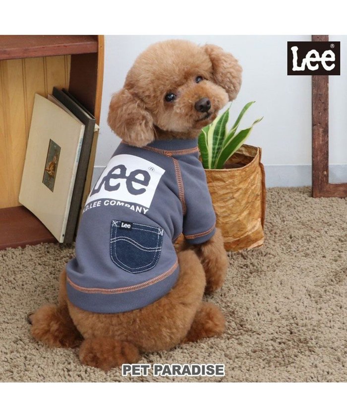 【ペットパラダイス/PET PARADISE / GOODS】のLee ステッチ トレーナー 《グレー》 小型犬 インテリア・キッズ・メンズ・レディースファッション・服の通販 founy(ファニー) https://founy.com/ A/W・秋冬 Aw・Autumn/Winter・Fw・Fall-Winter ストレッチ Stretch トレーナー Trainer ポケット Pocket 犬 Dog ホーム・キャンプ・アウトドア・お取り寄せ Home,Garden,Outdoor,Camping Gear ペットグッズ Pet Supplies |ID: prp329100004099807 ipo3291000000027818859