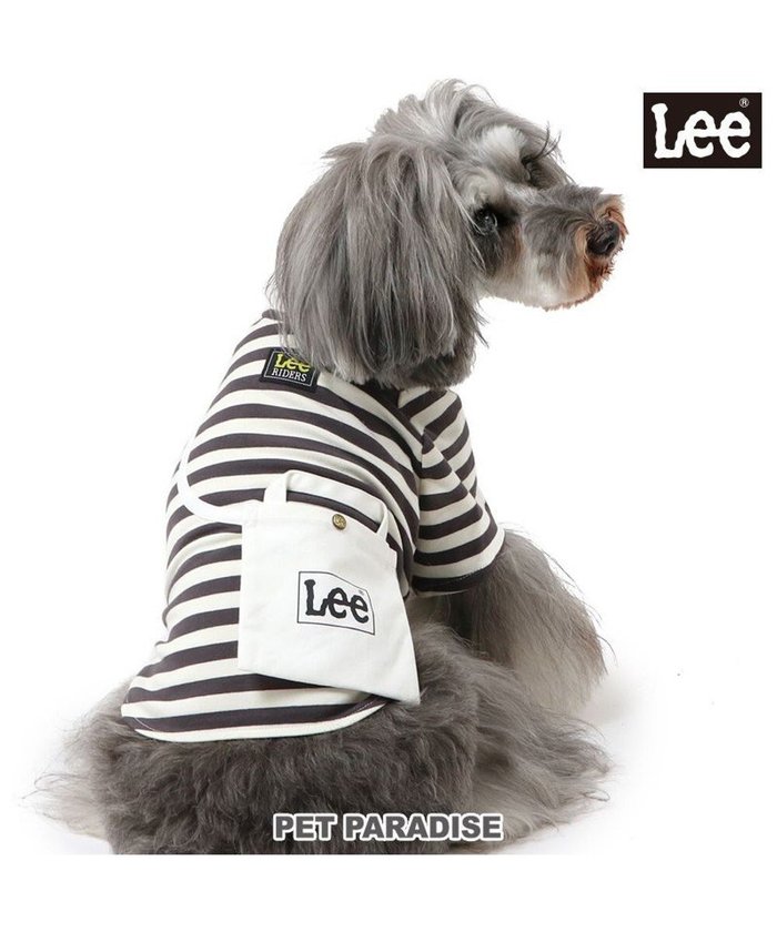 【ペットパラダイス/PET PARADISE / GOODS】のLee ショルダー ボーダー Tシャツ 小型犬 インテリア・キッズ・メンズ・レディースファッション・服の通販 founy(ファニー) https://founy.com/ A/W・秋冬 Aw・Autumn/Winter・Fw・Fall-Winter ショルダー Shoulder ボーダー Border 犬 Dog ホーム・キャンプ・アウトドア・お取り寄せ Home,Garden,Outdoor,Camping Gear ペットグッズ Pet Supplies |ID: prp329100004099808 ipo3291000000027818861