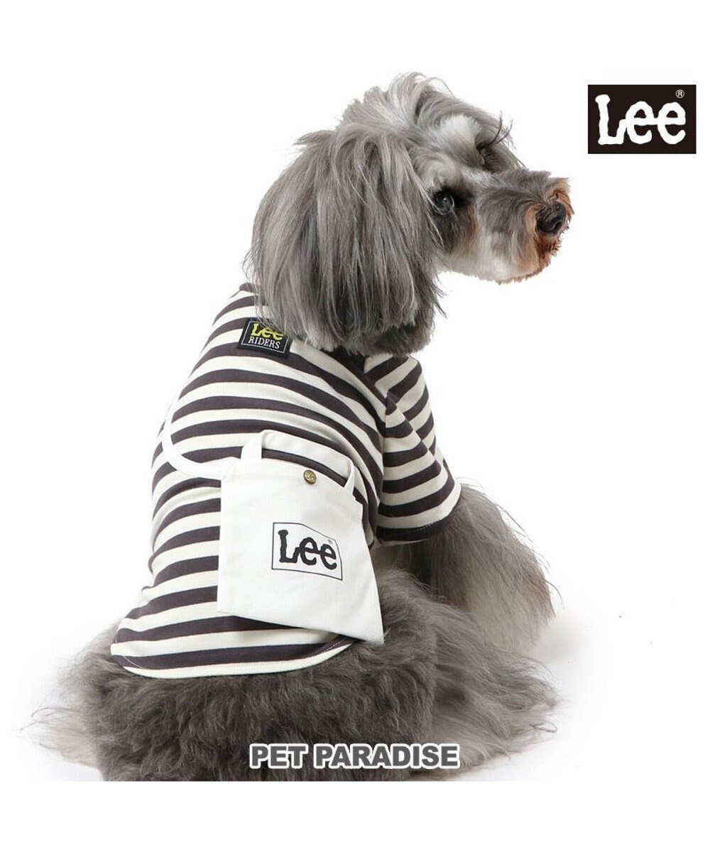 【ペットパラダイス/PET PARADISE / GOODS】のLee ショルダー ボーダー Tシャツ 小型犬 人気、トレンドファッション・服の通販 founy(ファニー) 　A/W・秋冬　Aw・Autumn/Winter・Fw・Fall-Winter　ショルダー　Shoulder　ボーダー　Border　犬　Dog　ホーム・キャンプ・アウトドア・お取り寄せ　Home,Garden,Outdoor,Camping Gear　ペットグッズ　Pet Supplies　 other-1|ID: prp329100004099808 ipo3291000000027818861