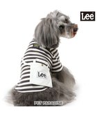 【ペットパラダイス/PET PARADISE / GOODS】のLee ショルダー ボーダー Tシャツ 小型犬 人気、トレンドファッション・服の通販 founy(ファニー) A/W・秋冬 Aw・Autumn/Winter・Fw・Fall-Winter ショルダー Shoulder ボーダー Border 犬 Dog ホーム・キャンプ・アウトドア・お取り寄せ Home,Garden,Outdoor,Camping Gear ペットグッズ Pet Supplies thumbnail ボーダー|ID: prp329100004099808 ipo3291000000027818862