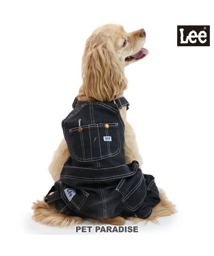 【ペットパラダイス/PET PARADISE / GOODS】のLee デニム オーバーオール 《ブラック》 中型犬 大型犬 インテリア・キッズ・メンズ・レディースファッション・服の通販 founy(ファニー) https://founy.com/ A/W・秋冬 Aw・Autumn/Winter・Fw・Fall-Winter S/S・春夏 Ss・Spring/Summer デニム Denim 夏 Summer 犬 Dog ホーム・キャンプ・アウトドア・お取り寄せ Home,Garden,Outdoor,Camping Gear ペットグッズ Pet Supplies |ID: prp329100004099815 ipo3291000000027818910