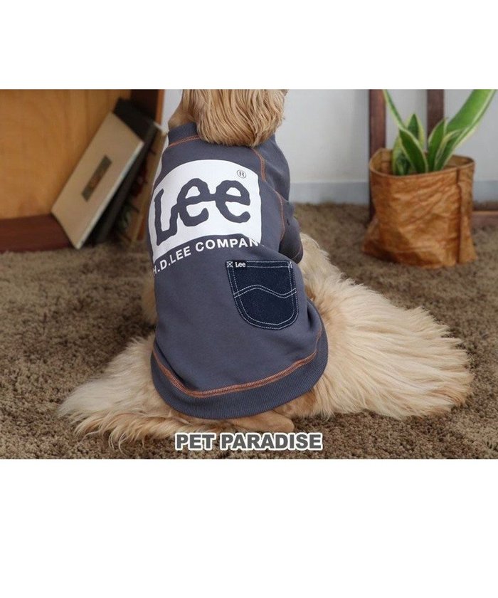 【ペットパラダイス/PET PARADISE / GOODS】のLee ステッチ トレーナー 《グレー》 中型犬 大型犬 インテリア・キッズ・メンズ・レディースファッション・服の通販 founy(ファニー) https://founy.com/ A/W・秋冬 Aw・Autumn/Winter・Fw・Fall-Winter トレーナー Trainer 犬 Dog ホーム・キャンプ・アウトドア・お取り寄せ Home,Garden,Outdoor,Camping Gear ペットグッズ Pet Supplies |ID: prp329100004100645 ipo3291000000027836947