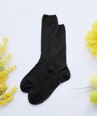 【ティアクラッセ/Tiaclasse】のシアー無地ソックス 人気、トレンドファッション・服の通販 founy(ファニー) ファッション Fashion レディースファッション Fashion for Women ソックス&靴下 Socks & Hosiery レッグウェア・ストッキング Legwear & Hosiery サンダル Sandals, Summer Shoes シアー Sheer, See-Through シューズ Shoes, Footwear シンプル Simple, Minimal スニーカー Sneakers, Trainers ソックス Socks, Hosiery チュニック Tunic, Long Top トレンド Trend, Trending Now 再入荷 Restock / Back in Stock 新作・新入荷 New Arrivals / New In 無地 Plain, Solid Color thumbnail ブラック|ID: prp329100004100659 ipo3291000000036261647