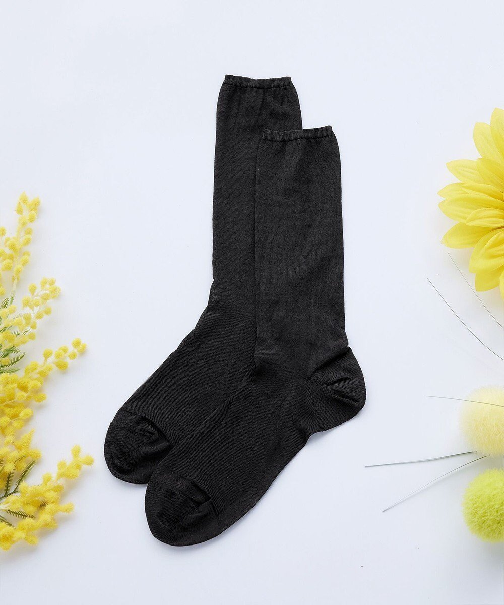 【ティアクラッセ/Tiaclasse】のシアー無地ソックス インテリア・キッズ・メンズ・レディースファッション・服の通販 founy(ファニー) 　ファッション　Fashion　レディースファッション　Fashion for Women　ソックス&靴下　Socks & Hosiery　レッグウェア・ストッキング　Legwear & Hosiery　サンダル　Sandals, Summer Shoes　シアー　Sheer, See-Through　シューズ　Shoes, Footwear　シンプル　Simple, Minimal　スニーカー　Sneakers, Trainers　ソックス　Socks, Hosiery　チュニック　Tunic, Long Top　トレンド　Trend, Trending Now　再入荷　Restock / Back in Stock　新作・新入荷　New Arrivals / New In　無地　Plain, Solid Color　ブラック|ID: prp329100004100659 ipo3291000000036261647