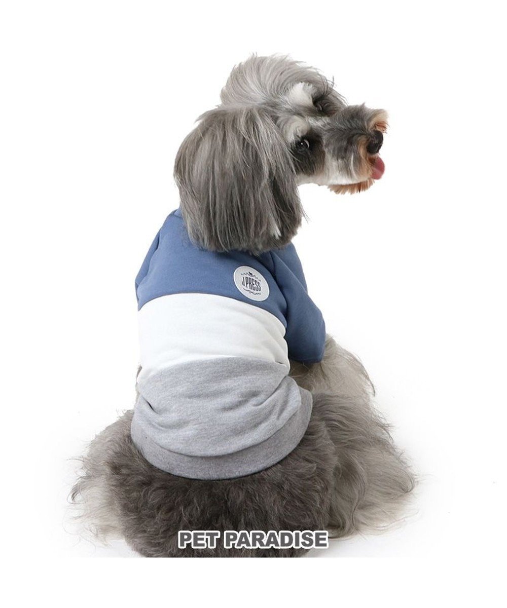 【ペットパラダイス/PET PARADISE / GOODS】のJ.PRESS トレーナー 《トリコロール》 小型犬 人気、トレンドファッション・服の通販 founy(ファニー) 　A/W・秋冬　Aw・Autumn/Winter・Fw・Fall-Winter　トレーナー　Trainer　犬　Dog　秋　Autumn/Fall　ホーム・キャンプ・アウトドア・お取り寄せ　Home,Garden,Outdoor,Camping Gear　ペットグッズ　Pet Supplies　 other-1|ID: prp329100004118556 ipo3291000000028071771