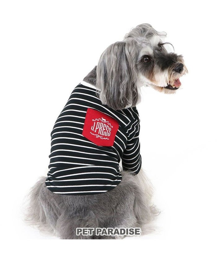 【ペットパラダイス/PET PARADISE / GOODS】のJ.PRESS フライス Tシャツ 《ボーダー》 小型犬 インテリア・キッズ・メンズ・レディースファッション・服の通販 founy(ファニー) https://founy.com/ A/W・秋冬 Aw・Autumn/Winter・Fw・Fall-Winter ボーダー Border 犬 Dog 秋 Autumn/Fall ホーム・キャンプ・アウトドア・お取り寄せ Home,Garden,Outdoor,Camping Gear ペットグッズ Pet Supplies |ID: prp329100004118557 ipo3291000000028071773