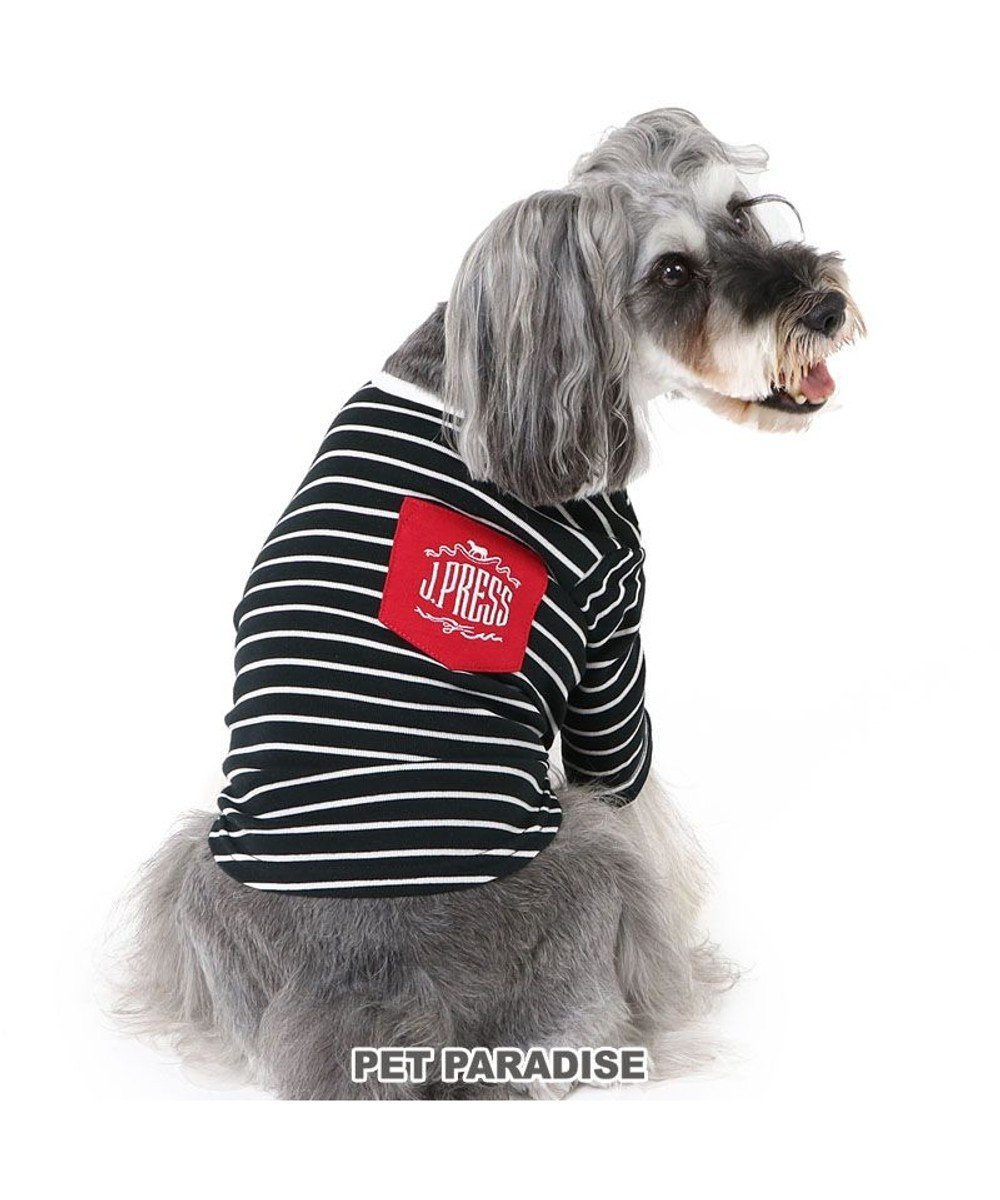 【ペットパラダイス/PET PARADISE / GOODS】のJ.PRESS フライス Tシャツ 《ボーダー》 小型犬 人気、トレンドファッション・服の通販 founy(ファニー) 　A/W・秋冬　Aw・Autumn/Winter・Fw・Fall-Winter　ボーダー　Border　犬　Dog　秋　Autumn/Fall　ホーム・キャンプ・アウトドア・お取り寄せ　Home,Garden,Outdoor,Camping Gear　ペットグッズ　Pet Supplies　 other-1|ID: prp329100004118557 ipo3291000000028071773