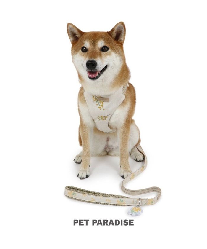 【ペットパラダイス/PET PARADISE / GOODS】のペットパラダイス スリム ハーネス&リード 《ミモザ柄》 SM 中型犬 インテリア・キッズ・メンズ・レディースファッション・服の通販 founy(ファニー) https://founy.com/ スリム Slim 犬 Dog ホーム・キャンプ・アウトドア・お取り寄せ Home,Garden,Outdoor,Camping Gear ペットグッズ Pet Supplies |ID: prp329100004123446 ipo3291000000028142949