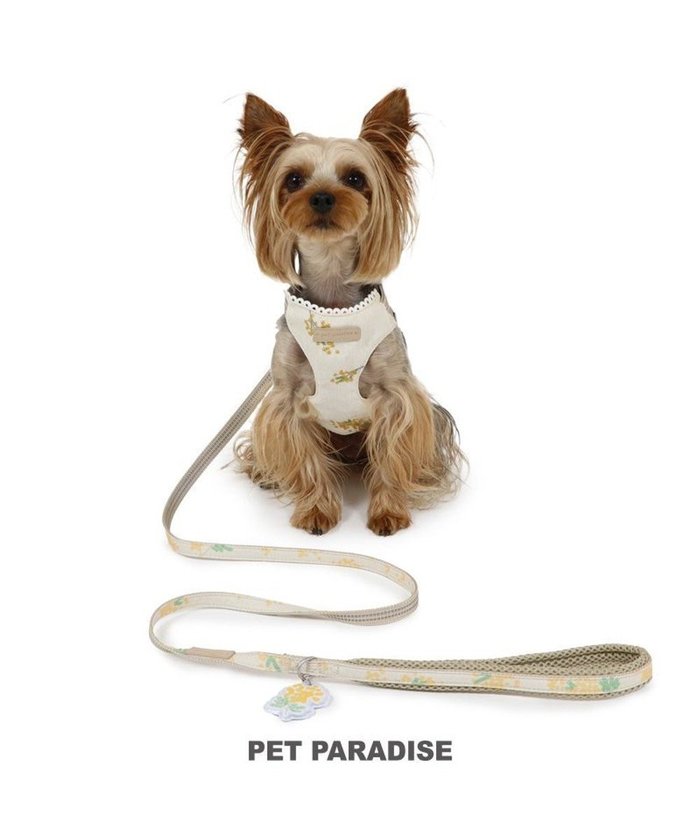 【ペットパラダイス/PET PARADISE / GOODS】のペットパラダイス スリム ハーネス&リード 《ミモザ柄》 S 小型犬 インテリア・キッズ・メンズ・レディースファッション・服の通販 founy(ファニー) https://founy.com/ スリム Slim 犬 Dog ホーム・キャンプ・アウトドア・お取り寄せ Home,Garden,Outdoor,Camping Gear ペットグッズ Pet Supplies |ID: prp329100004123447 ipo3291000000028142951