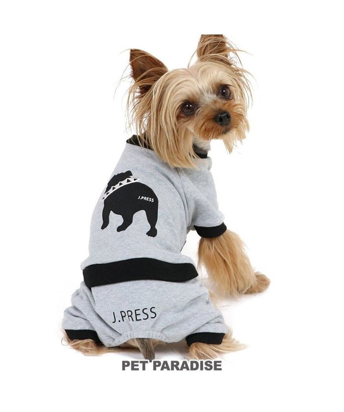 【ペットパラダイス/PET PARADISE / GOODS】のJ.PRESS バックブルロンパース 小型犬 インテリア・キッズ・メンズ・レディースファッション・服の通販 founy(ファニー) https://founy.com/ 犬 Dog ホーム・キャンプ・アウトドア・お取り寄せ Home,Garden,Outdoor,Camping Gear ペットグッズ Pet Supplies |ID: prp329100004136291 ipo3291000000028308732