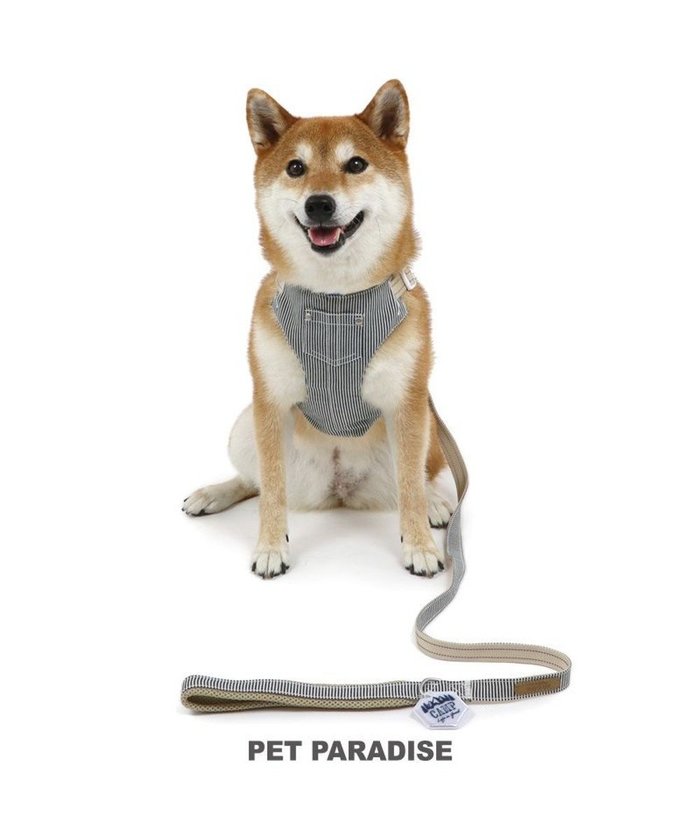 【ペットパラダイス/PET PARADISE / GOODS】のペットパラダイス ヒッコリー スリム ハーネス&リード SM 中型犬 インテリア・キッズ・メンズ・レディースファッション・服の通販 founy(ファニー) https://founy.com/ スリム Slim 犬 Dog 秋 Autumn/Fall ホーム・キャンプ・アウトドア・お取り寄せ Home,Garden,Outdoor,Camping Gear ペットグッズ Pet Supplies |ID: prp329100004136358 ipo3291000000028309439