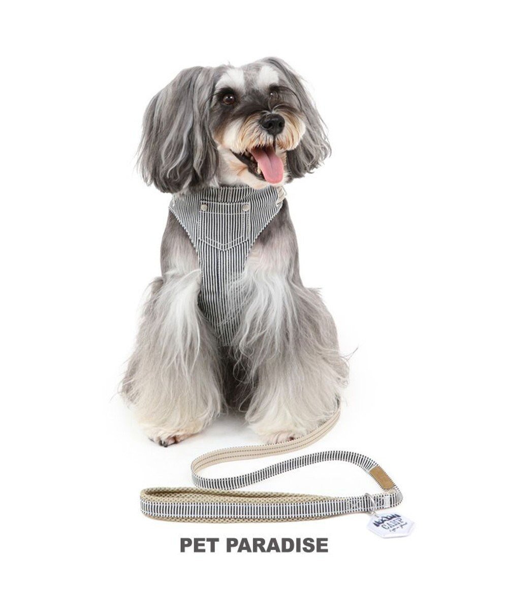 【ペットパラダイス/PET PARADISE / GOODS】のペットパラダイス ヒッコリー スリム ハーネス&リード S 小型犬 人気、トレンドファッション・服の通販 founy(ファニー) 　スリム　Slim　犬　Dog　秋　Autumn/Fall　ホーム・キャンプ・アウトドア・お取り寄せ　Home,Garden,Outdoor,Camping Gear　ペットグッズ　Pet Supplies　 other-1|ID: prp329100004136360 ipo3291000000028309529