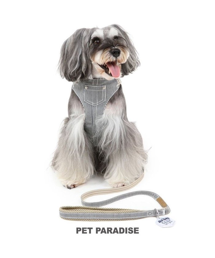 【ペットパラダイス/PET PARADISE / GOODS】のペットパラダイス ヒッコリー スリム ハーネス&リード SS 小型犬 インテリア・キッズ・メンズ・レディースファッション・服の通販 founy(ファニー) https://founy.com/ スリム Slim 犬 Dog 秋 Autumn/Fall ホーム・キャンプ・アウトドア・お取り寄せ Home,Garden,Outdoor,Camping Gear ペットグッズ Pet Supplies |ID: prp329100004136362 ipo3291000000028309622