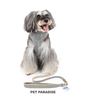 【ペットパラダイス/PET PARADISE / GOODS】のペットパラダイス ヒッコリー スリム ハーネス&リード SS 小型犬 人気、トレンドファッション・服の通販 founy(ファニー) NEW・新作・新着・新入荷 New Arrivals スリム Slim 犬 Dog 秋 Autumn/Fall ホーム・キャンプ・アウトドア・お取り寄せ Home,Garden,Outdoor,Camping Gear ペットグッズ Pet Supplies |ID:prp329100004136362