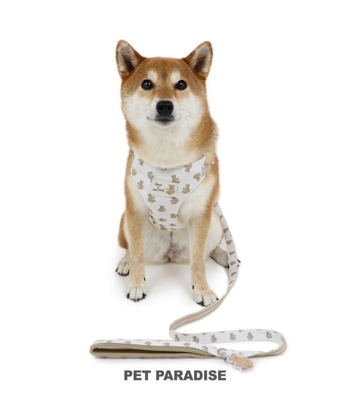 【ペットパラダイス/PET PARADISE / GOODS】のペットパラダイス くまちゃん スリム ハーネス&リード 中型犬 SM インテリア・キッズ・メンズ・レディースファッション・服の通販 founy(ファニー) https://founy.com/ スリム Slim 犬 Dog 秋 Autumn/Fall ホーム・キャンプ・アウトドア・お取り寄せ Home,Garden,Outdoor,Camping Gear ペットグッズ Pet Supplies |ID: prp329100004136366 ipo3291000000028309792