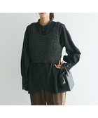 【クラフトスタンダードブティック/CRAFT STANDARD BOUTIQUE】のワッフル編み短丈ニットベスト 人気、トレンドファッション・服の通販 founy(ファニー) ファッション Fashion レディースファッション WOMEN アウター Coat Outerwear トップス・カットソー Tops/Tshirt ニット Knit Tops ベスト/ジレ Gilets/Vests 2024年 2024 2024-2025秋冬・A/W Aw/Autumn/Winter/Fw/Fall/2024-2025 A/W・秋冬 Aw・Autumn/Winter・Fw・Fall-Winter ショート Short シンプル Simple トレンド Trend フォルム Form ベスト Vest ポケット Pocket ワッフル Waffle thumbnail Black|ID: prp329100004143505 ipo3291000000028460694