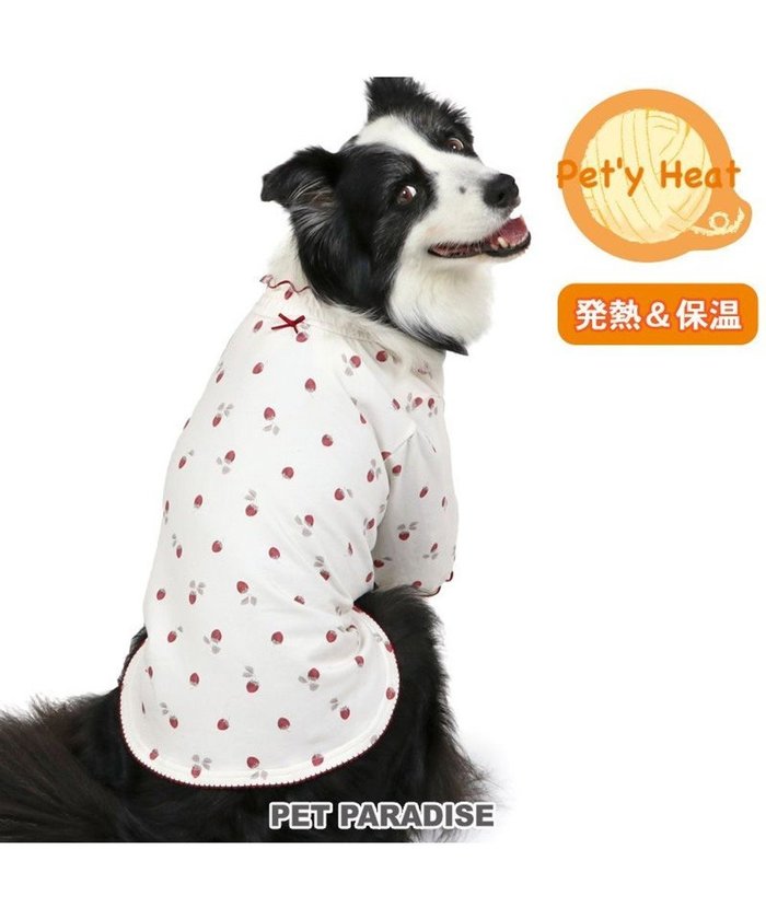 【ペットパラダイス/PET PARADISE / GOODS】のペットパラダイス ペティヒート Tシャツ 《苺柄》 中型犬 大型犬 インテリア・キッズ・メンズ・レディースファッション・服の通販 founy(ファニー) https://founy.com/ A/W・秋冬 Aw・Autumn/Winter・Fw・Fall-Winter イレギュラー Irregular 犬 Dog 秋 Autumn/Fall ホーム・キャンプ・アウトドア・お取り寄せ Home,Garden,Outdoor,Camping Gear ペットグッズ Pet Supplies |ID: prp329100004145933 ipo3291000000028483262